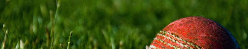 cricket ball on grass