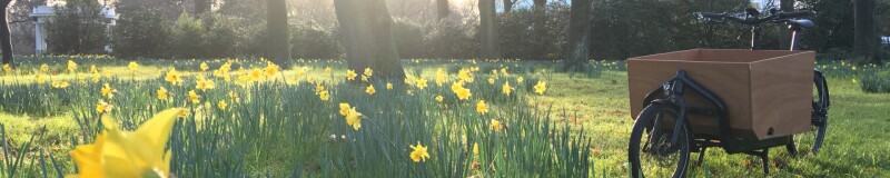 Park with daffodils scattered throughout, trees in the background and a bucket biked parked on the grass