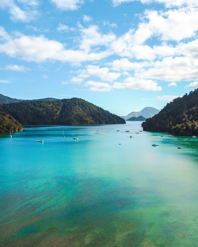 View of the Marlborough Sounds, New Zealand; green-blue coloured water,  several boats on the water, bush covered hills, and a blue sky scattered with clouds