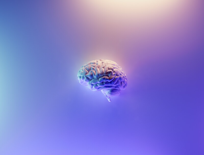 A human brain on a purple background, with different purple hues throughout the image.