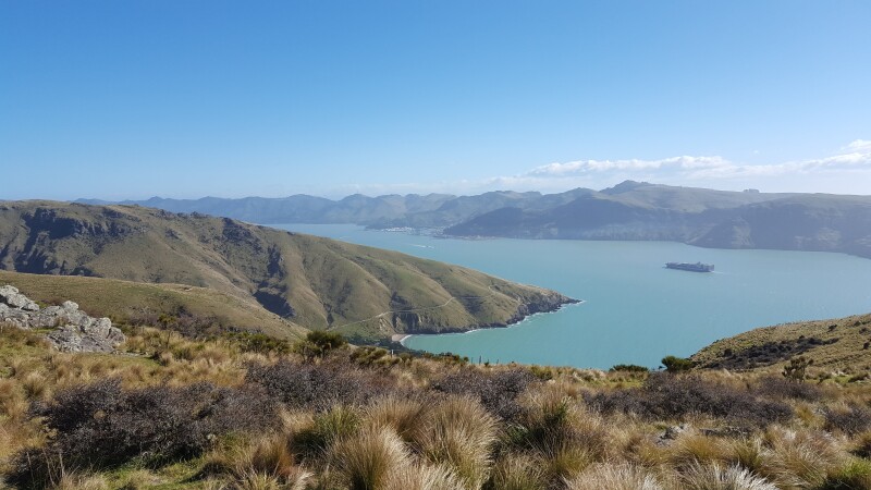 View from the top of a hill overlooking Lyttelton Harbour