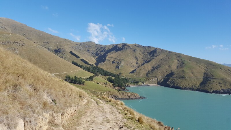 View from along a hillside track looking back along the track towards Camp Bay in Lyttelton Harbour