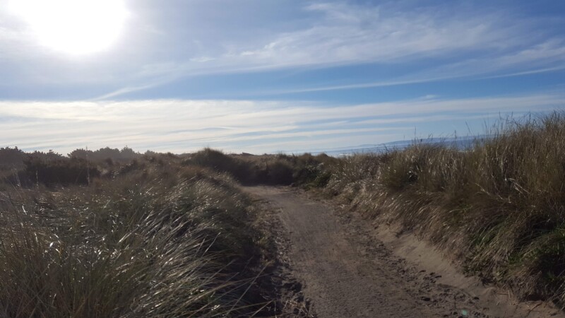 Sandy trail through grassed dunes