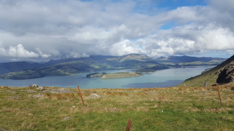 View of the Lyttelton Harbour from Godley Walkway 