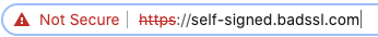 A web browser search bar with a red triangle and exclamation mark next to an unsecure hyperlink
