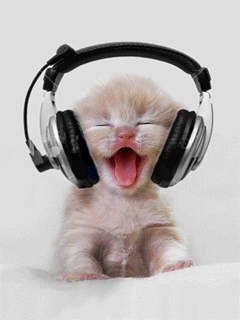 Gif of white kitten with its mouth open and headphones on. It's head is bopping from left to right