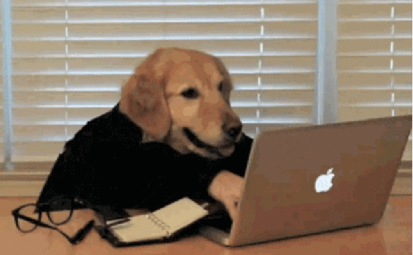 Gif of a labrador with human hands typing on an apple laptop on a table, open diary and reading glasses to the right of the laptop