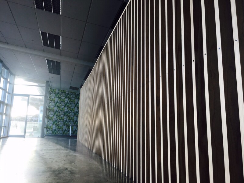 View of an office corridor with windows to the left and timber screening to the right