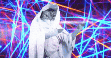 Gif of a cat in a jedi outfit, standing upright, bopping from side to side and moving its arms in a circular motion. Blue and red laser lights spin in the background