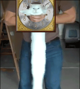 Gif of a white cat, held up under its front legs and being swayed side to side like a pendulum. A clockface has been superimposed around the cats head.