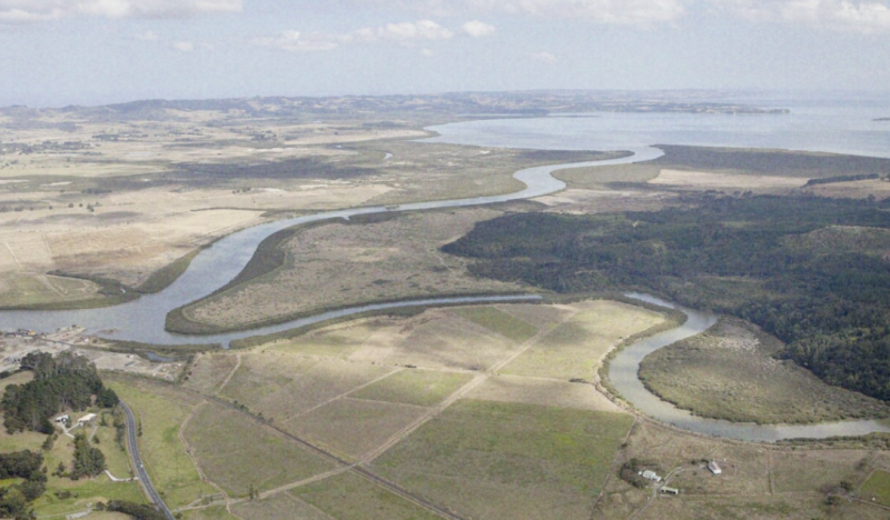 An aerial view of the Kaipara Moana