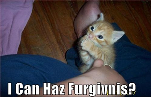 Meme of a ginger tabby kitten with its front paws together. "I can haz furgivnis?" appears at the bottom of the image